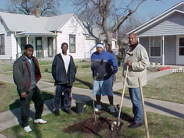 Planting Trees